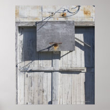 Basketball net on rustic building poster