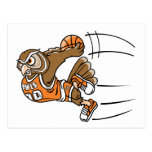 Basketball Owl Postcard