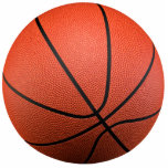 Basketball Photo Sculpture