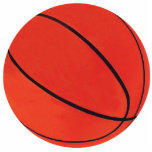 Basketball Photo Sculpture