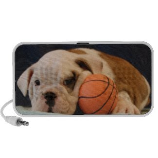 Basketball Puppy English Bulldog doodle