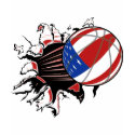 BASKETBALL USA FLAG PATRIOTIC t-shirts by sportsstuff BASKETBALL USA FLAG PATRIOTIC t-shirts