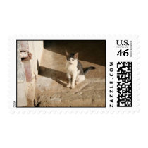 "Basking Cat" Stamp