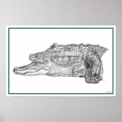Basking Gators Poster by charweb77
