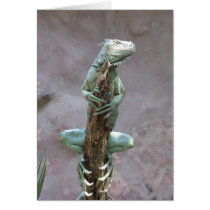 Basking Iguana Card
