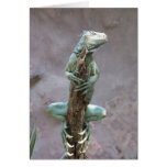 Basking Iguana Card