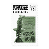 Basking Iguana Postage Stamps by ZoologicallyInclined Basking Iguana Postage Stamps