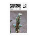 Basking Iguana Postage Stamps