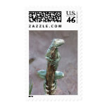Basking Iguana Postage Stamps