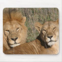 Basking in the Sun - Mousepad