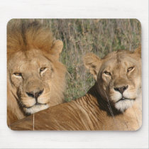 Basking in the Sun - Mousepad by dchaddad Basking in the Sun - Mousepad