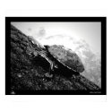 Basking posters by jsternig Basking posters