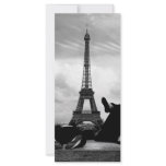 Basking Rack Card Template