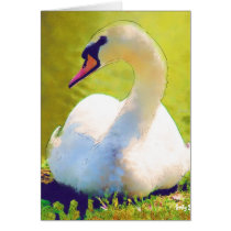 Basking Swan Greeting Cards