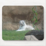 Basking White Tiger Mouse Pads