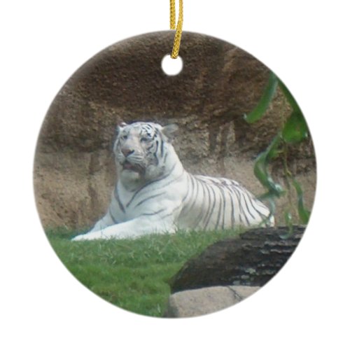Basking White Tiger Ornament ~ Endangered Species ornament