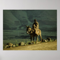 Basotho man on donkey posters