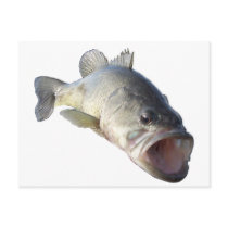 bass 2 postcards