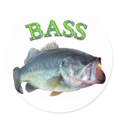 bass fish 14 sticker by bigfishead
