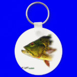 Bass from FishTs.com