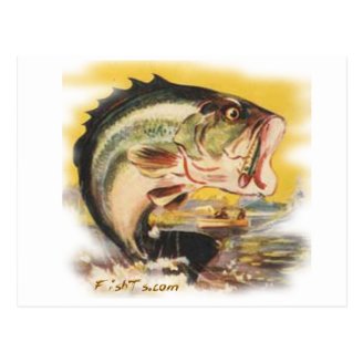 Bass from FishTs.com Postcards