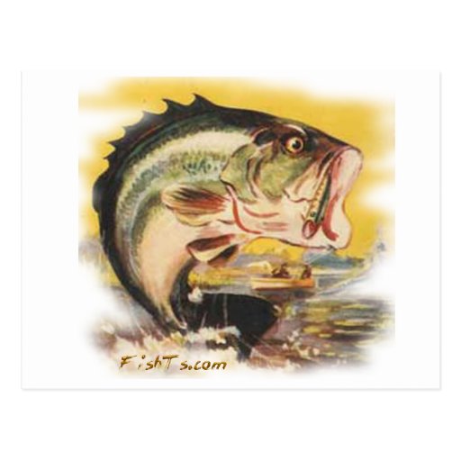 Bass from FishTs.com Postcards