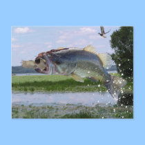 Bass gag pic postcards