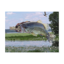 Bass gag pic postcards by bigfishead Bass gag pic postcards