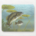 Bass Mousepad by audhollis Bass Mousepad