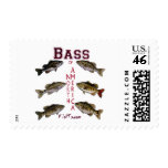 Bass of N.America