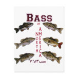 Bass of N.America