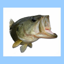 Bass Photo posters