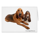 Basset and Bloodhound Buddies Greeting Cards