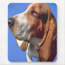 Basset Blues mousepads