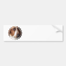 Basset  Bumper Sticker