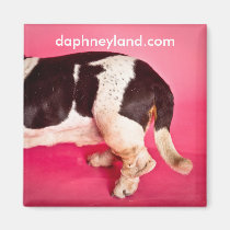 Basset Butt Magnet magnets