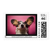Basset face Postage stamps