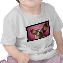 Basset face Toddler shirt t-shirts