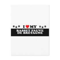 BASSET FAUVE DE BRETAGE_ POST CARD