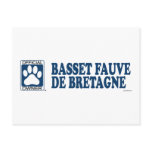 Basset Fauve De Bretagne Blue Post Cards