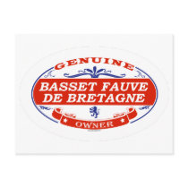 Basset Fauve De Bretagne  Postcards