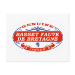 Basset Fauve De Bretagne  Postcards