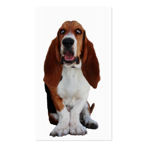 Basset Hond Dog Business Card (back side)