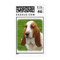 Basset Hound 8K92D-07_2 Postage