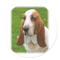 Basset Hound 8K92D-07_2 Round Sticker