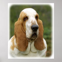 Basset Hound 9P013D-30_2 Posters