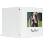 Basset Hound binders