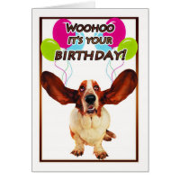 basset hound birthday card - woohoo it's your birt