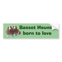 Basset Hound Buddies Bumper Sticker