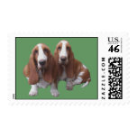 Basset Hound Buddies Postage Stamp